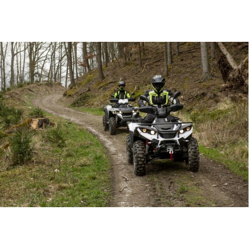 Linhai 500 EFI 4X4 T3b